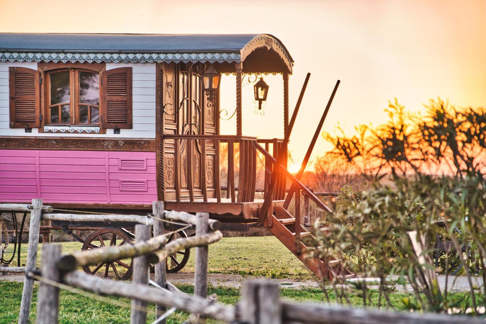 Mas De Calabrun Otel Saintes-Maries-de-la-Mer Dış mekan fotoğraf