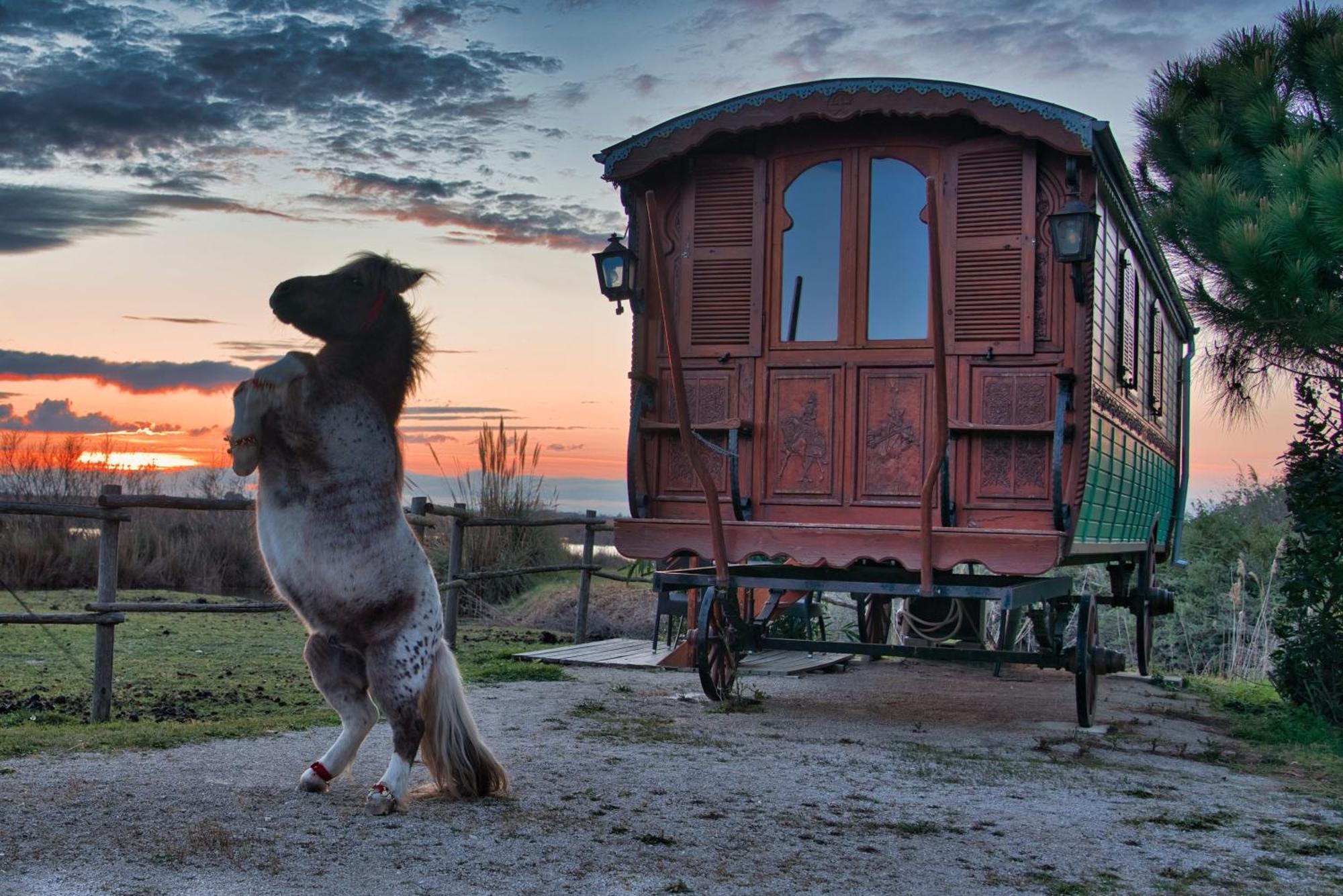 Mas De Calabrun Otel Saintes-Maries-de-la-Mer Dış mekan fotoğraf