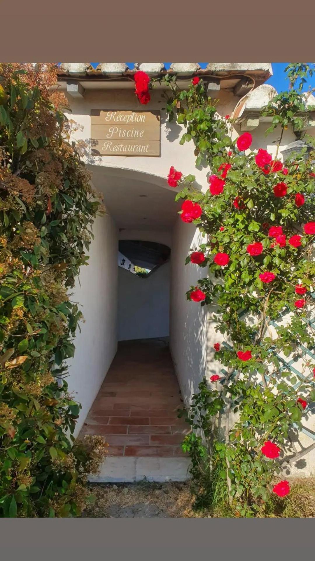 Mas De Calabrun Otel Saintes-Maries-de-la-Mer Dış mekan fotoğraf