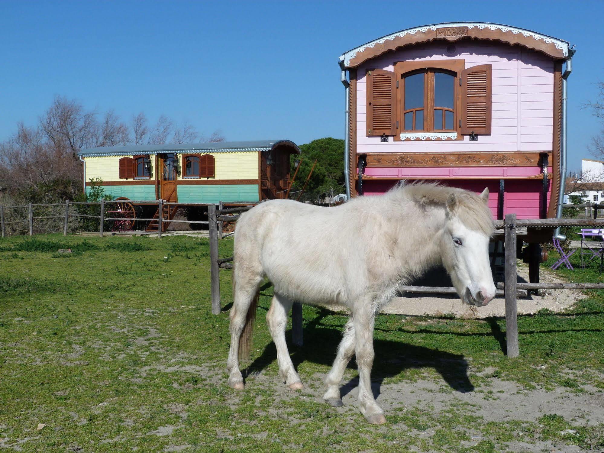 Mas De Calabrun Otel Saintes-Maries-de-la-Mer Dış mekan fotoğraf