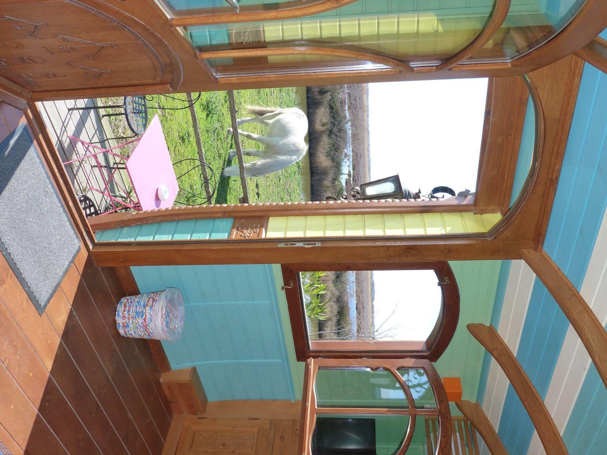 Mas De Calabrun Otel Saintes-Maries-de-la-Mer Dış mekan fotoğraf